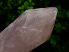 Polished Gemmy Rose Quartz Crystals x 2 From Madagascar