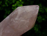 Polished Gemmy Rose Quartz Crystals x 2 From Madagascar