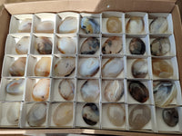 Polished Banded Agate Galets x 35 From Madagascar