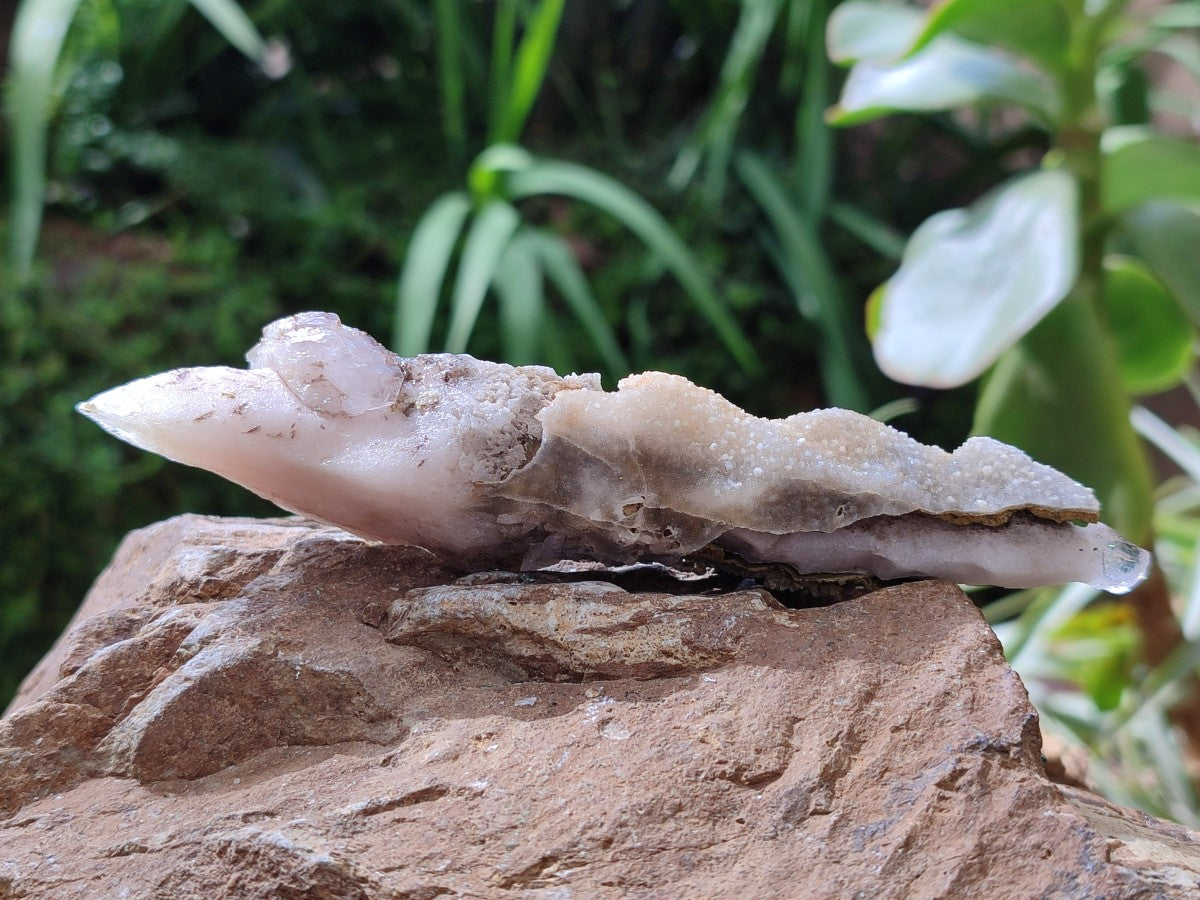 Natural Drusy Quartz Coated Spearhead Calcite Specimens x 6 From Albert's Mountain, Lesotho