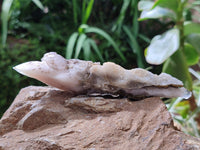 Natural Drusy Quartz Coated Spearhead Calcite Specimens x 6 From Albert's Mountain, Lesotho
