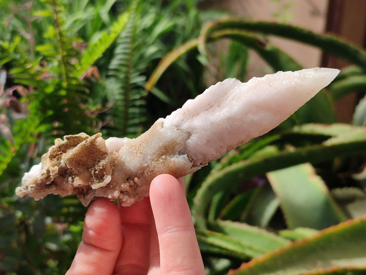Natural Drusy Quartz Coated Spearhead Calcite Specimens x 6 From Albert's Mountain, Lesotho