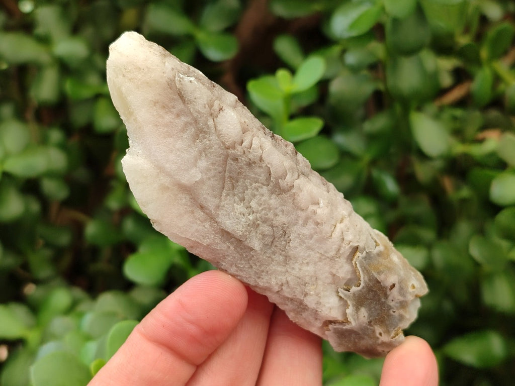 Natural Drusy Quartz Coated Spearhead Calcite Specimens x 6 From Albert's Mountain, Lesotho