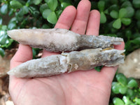 Natural Drusy Quartz Coated Spearhead Calcite Specimens x 6 From Albert's Mountain, Lesotho
