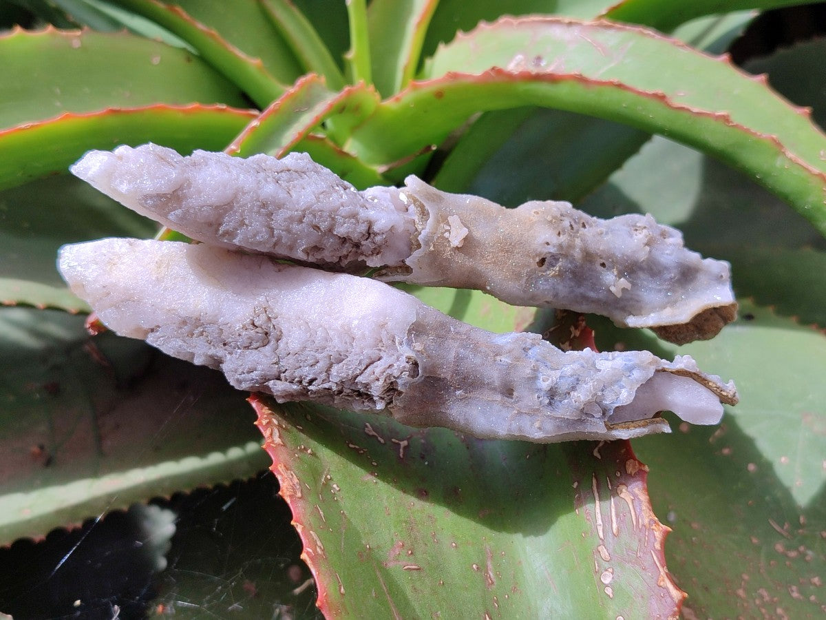 Natural Drusy Quartz Coated Spearhead Calcite Specimens x 6 From Albert's Mountain, Lesotho