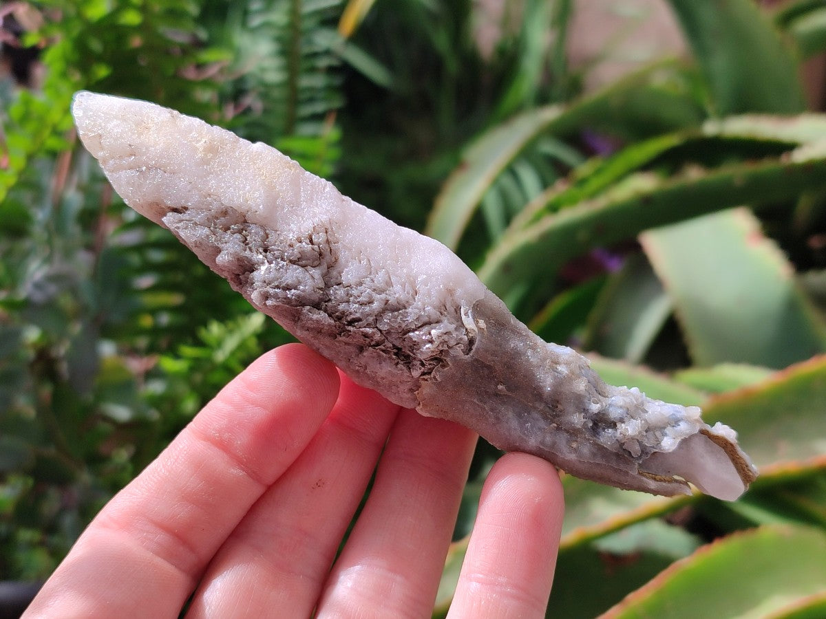 Natural Drusy Quartz Coated Spearhead Calcite Specimens x 6 From Albert's Mountain, Lesotho