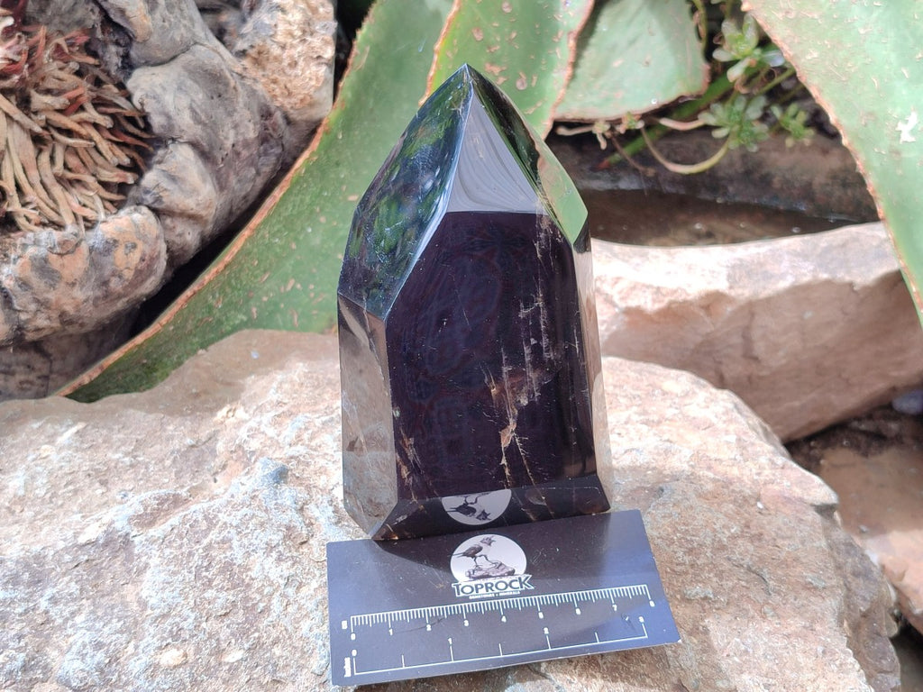 Polished Smokey Window Quartz Crystals x 3 From Madagascar