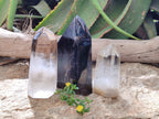 Polished Smokey Window Quartz Crystals x 3 From Madagascar