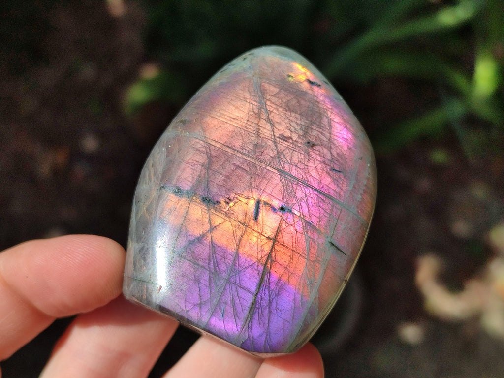 Polished Rare Purple Sunset Flash Labradorite Standing Free Forms x 3 From Madagascar