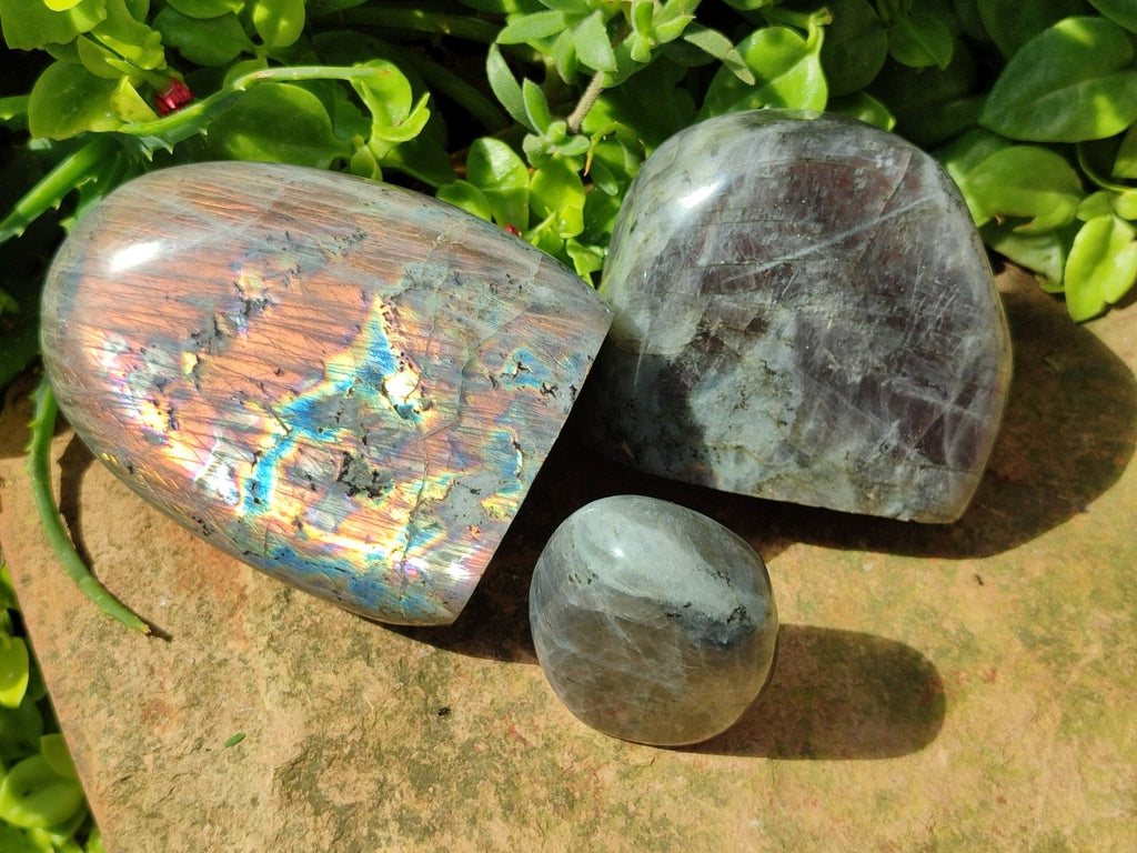 Polished Rare Purple Sunset Flash Labradorite Standing Free Forms x 3 From Madagascar