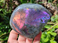 Polished Rare Purple Sunset Flash Labradorite Standing Free Forms x 3 From Madagascar