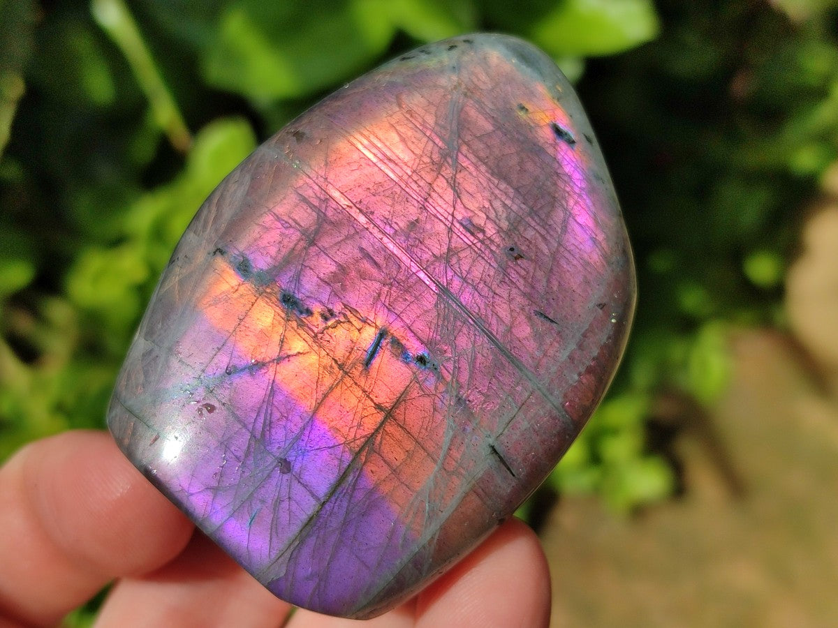 Polished Rare Purple Sunset Flash Labradorite Standing Free Forms x 3 From Madagascar