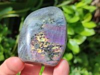 Polished Rare Purple Sunset Flash Labradorite Standing Free Forms x 3 From Madagascar