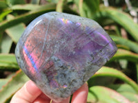 Polished Rare Purple Sunset Flash Labradorite Standing Free Forms x 3 From Madagascar