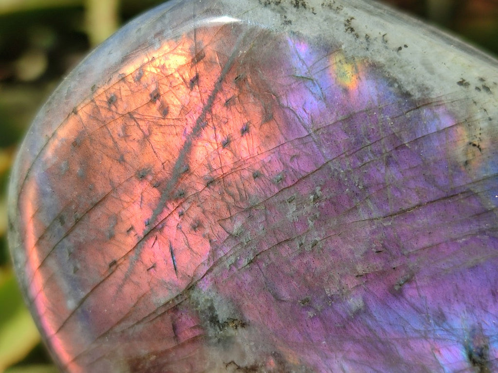 Polished Rare Purple Sunset Flash Labradorite Standing Free Forms x 3 From Madagascar