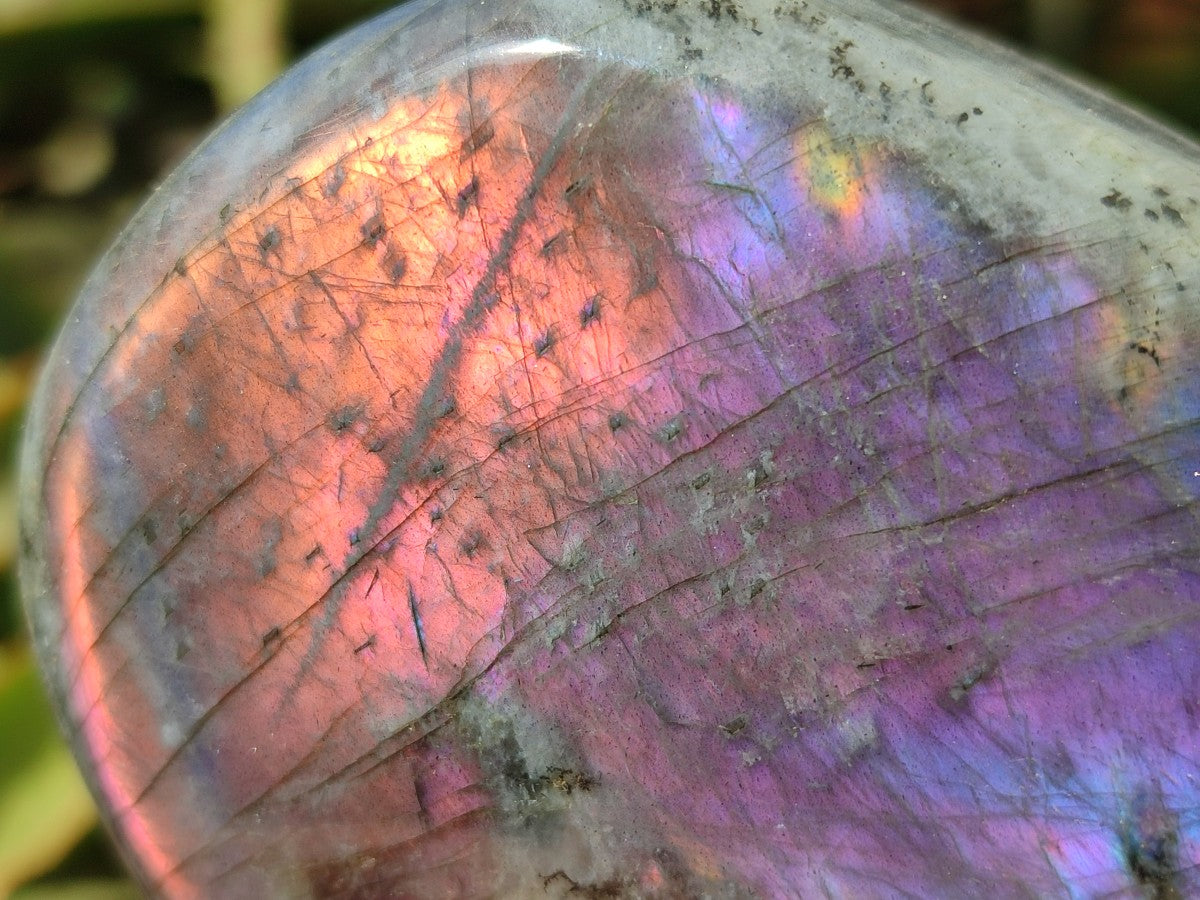 Polished Rare Purple Sunset Flash Labradorite Standing Free Forms x 3 From Madagascar