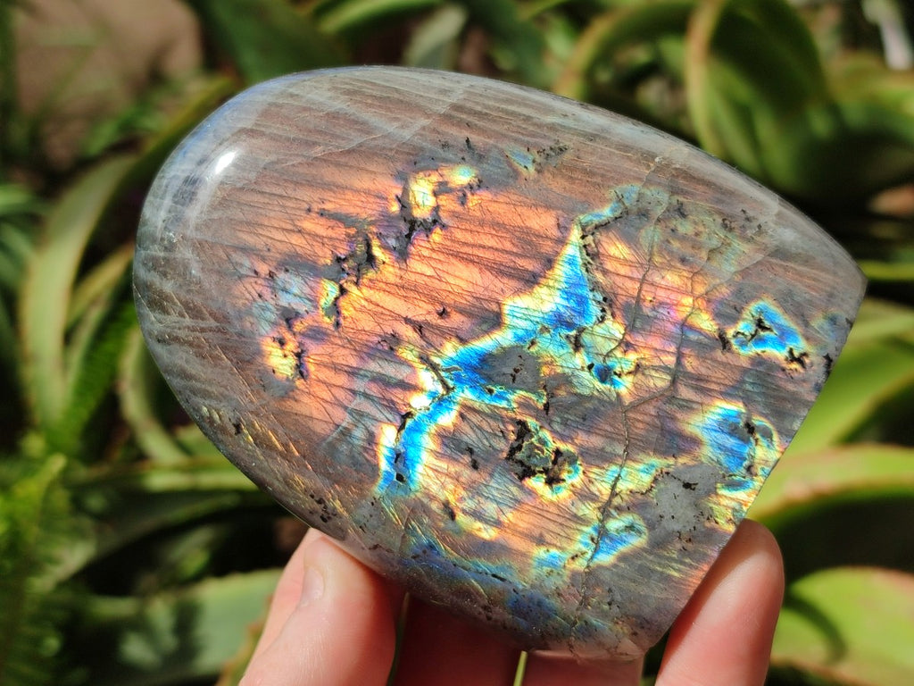 Polished Rare Purple Sunset Flash Labradorite Standing Free Forms x 3 From Madagascar