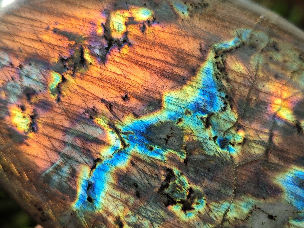 Polished Rare Purple Sunset Flash Labradorite Standing Free Forms x 3 From Madagascar