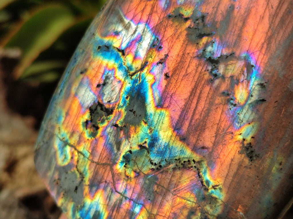 Polished Rare Purple Sunset Flash Labradorite Standing Free Forms x 3 From Madagascar