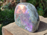 Polished Rare Purple Sunset Flash Labradorite Standing Free Forms x 3 From Madagascar