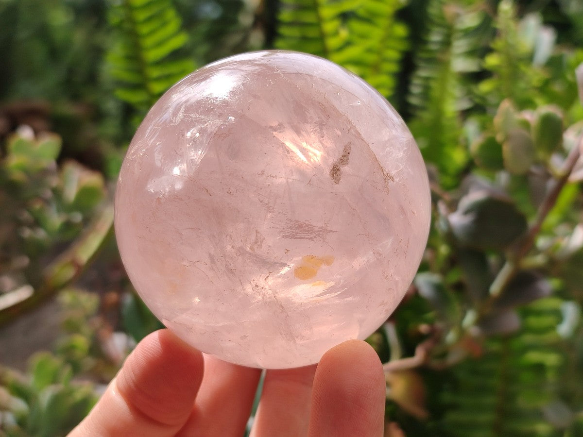 Polished Gemmy Star Rose Quartz Spheres x 4 From Madagascar
