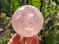 Polished Gemmy Star Rose Quartz Spheres x 4 From Madagascar