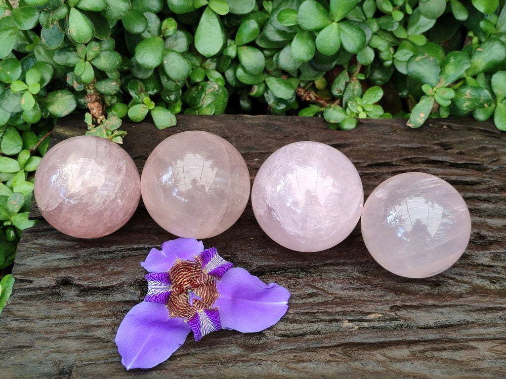 Polished Gemmy Star Rose Quartz Spheres x 4 From Madagascar