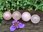 Polished Gemmy Star Rose Quartz Spheres x 4 From Madagascar