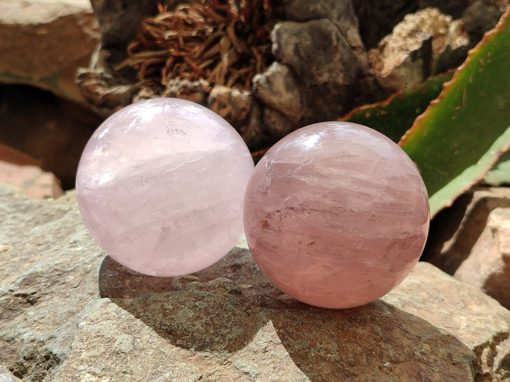 Polished Gemmy Star Rose Quartz Spheres x 4 From Madagascar