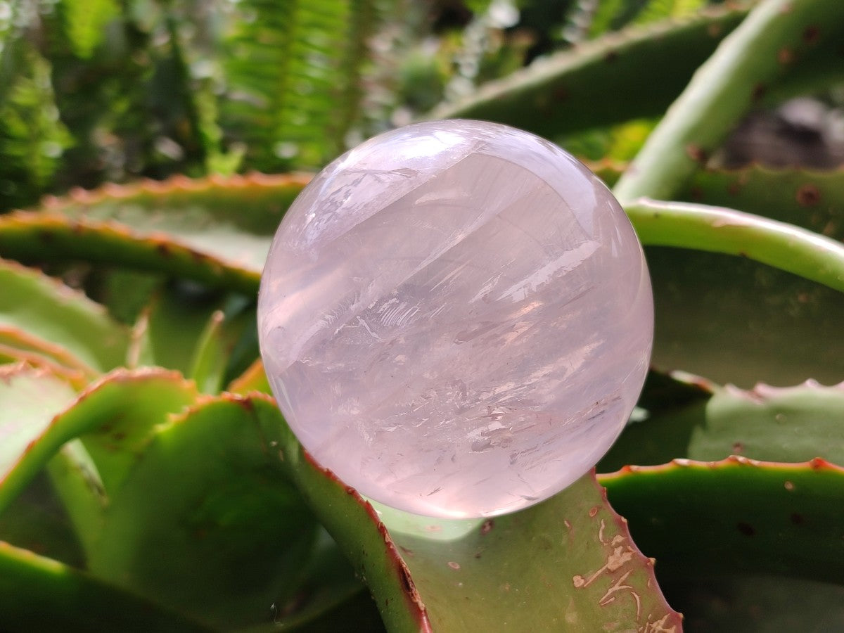 Polished Gemmy Star Rose Quartz Spheres x 4 From Madagascar