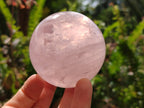 Polished Gemmy Star Rose Quartz Spheres x 4 From Madagascar