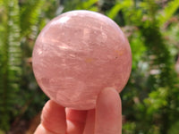 Polished Gemmy Star Rose Quartz Spheres x 4 From Madagascar