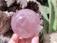 Polished Gemmy Star Rose Quartz Spheres x 4 From Madagascar