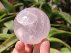Polished Gemmy Star Rose Quartz Spheres x 4 From Madagascar