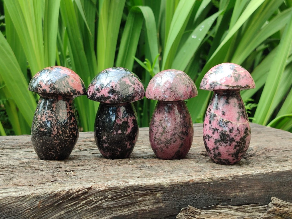 Polished Rhodonite Gemstone Mushrooms x 6 From Ambindavato, Madagascar - Toprock Gemstones and Minerals 