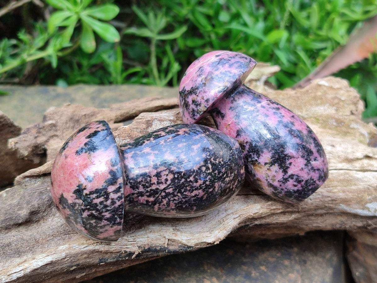 Polished Rhodonite Gemstone Mushrooms x 6 From Ambindavato, Madagascar - Toprock Gemstones and Minerals 