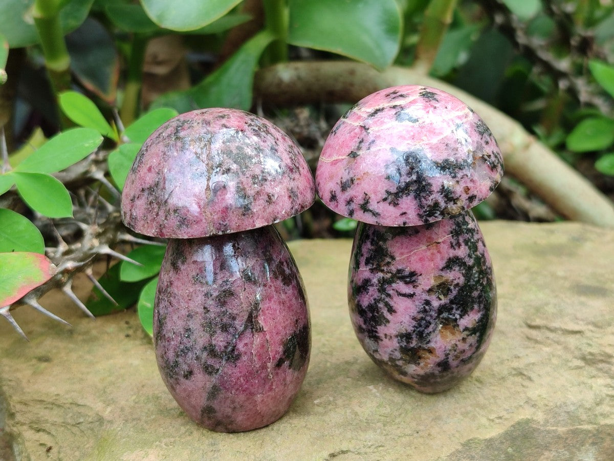 Polished Rhodonite Gemstone Mushrooms x 6 From Ambindavato, Madagascar