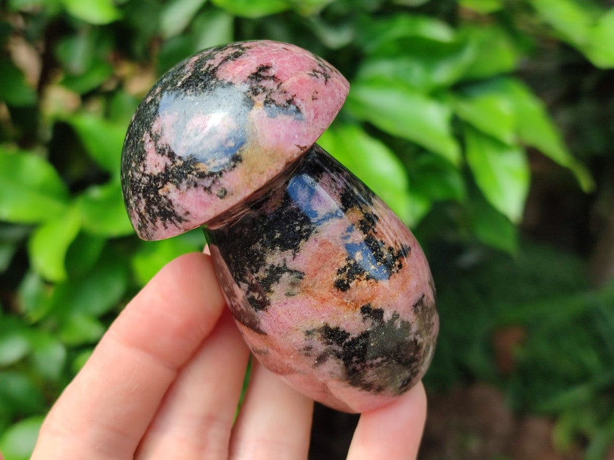 Polished Rhodonite Gemstone Mushrooms x 6 From Ambindavato, Madagascar