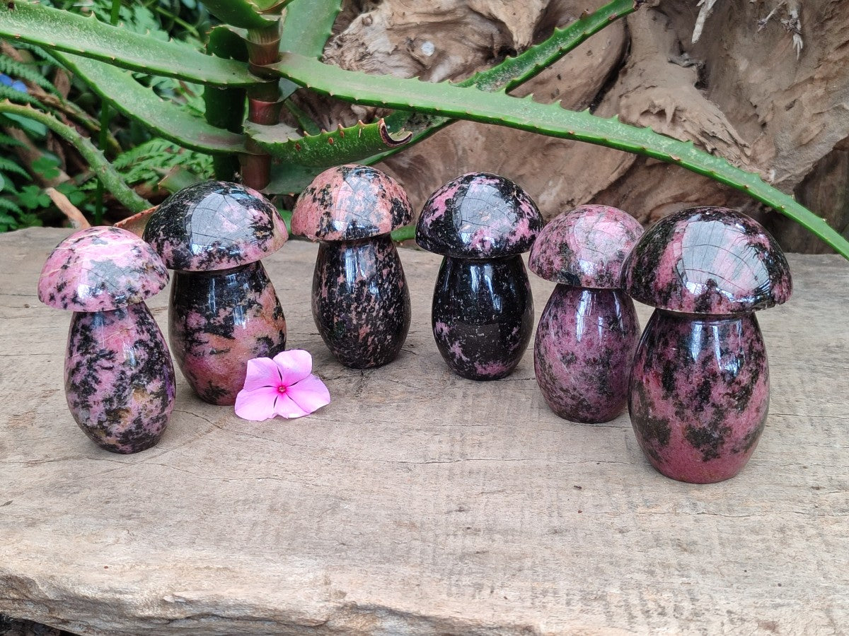 Polished Rhodonite Gemstone Mushrooms x 6 From Ambindavato, Madagascar