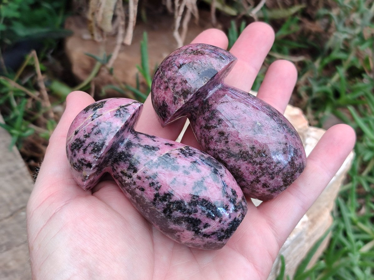 Polished Rhodonite Gemstone Mushrooms x 6 From Ambindavato, Madagascar