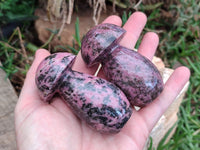 Polished Rhodonite Gemstone Mushrooms x 6 From Ambindavato, Madagascar