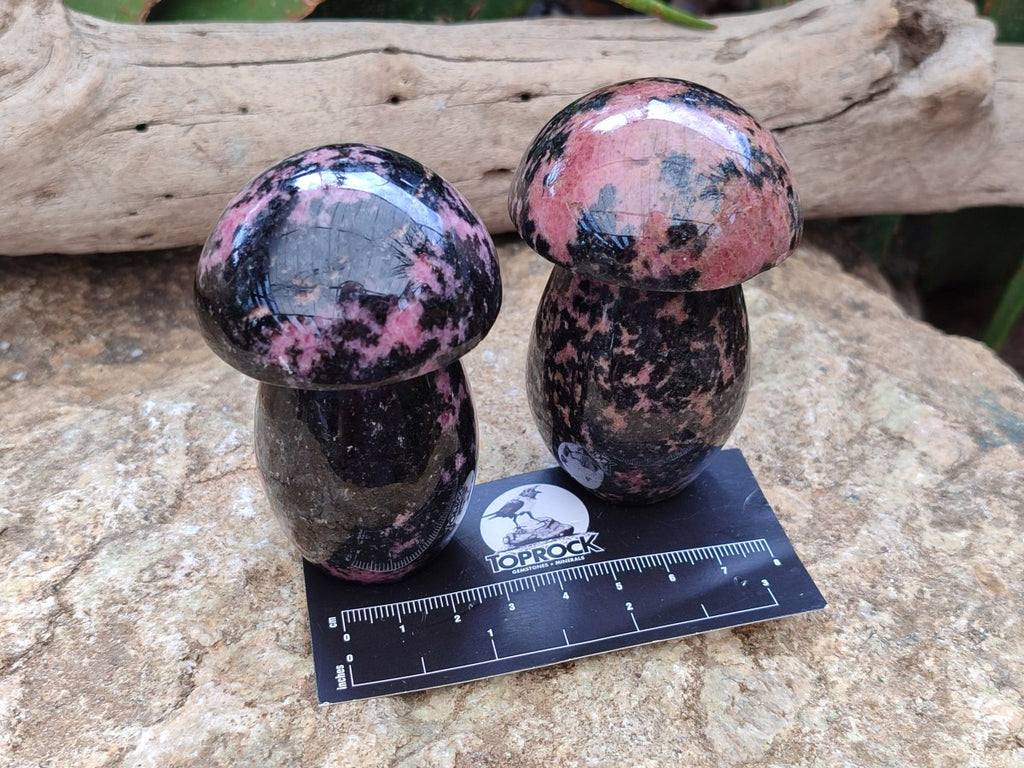 Polished Rhodonite Gemstone Mushrooms x 6 From Ambindavato, Madagascar - Toprock Gemstones and Minerals 