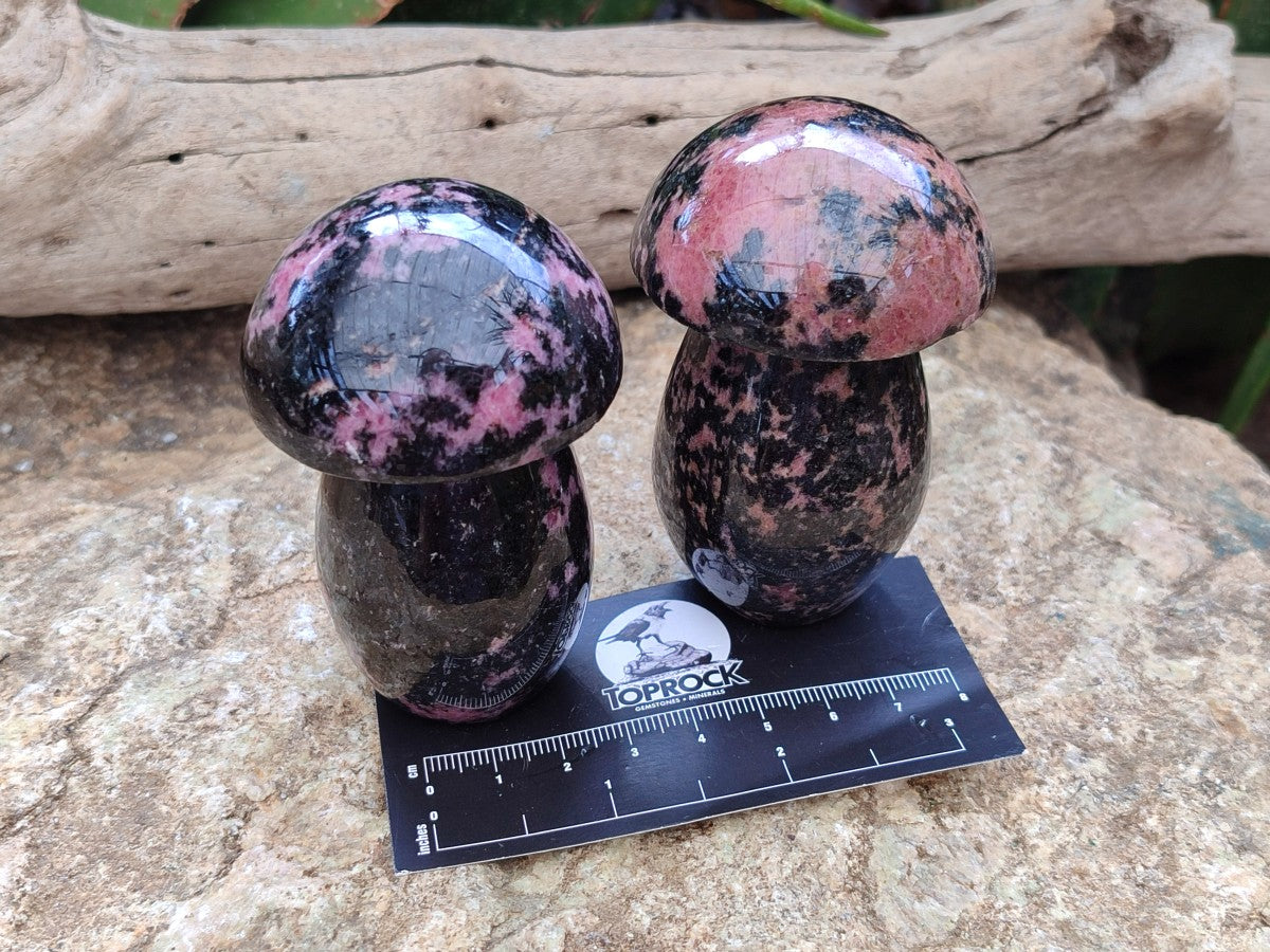 Polished Rhodonite Gemstone Mushrooms x 6 From Ambindavato, Madagascar - Toprock Gemstones and Minerals 