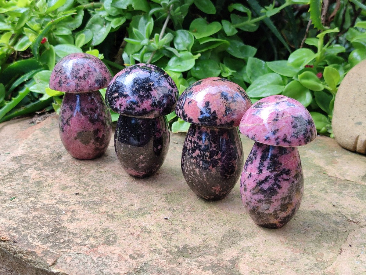 Polished Rhodonite Gemstone Mushrooms x 6 From Ambindavato, Madagascar