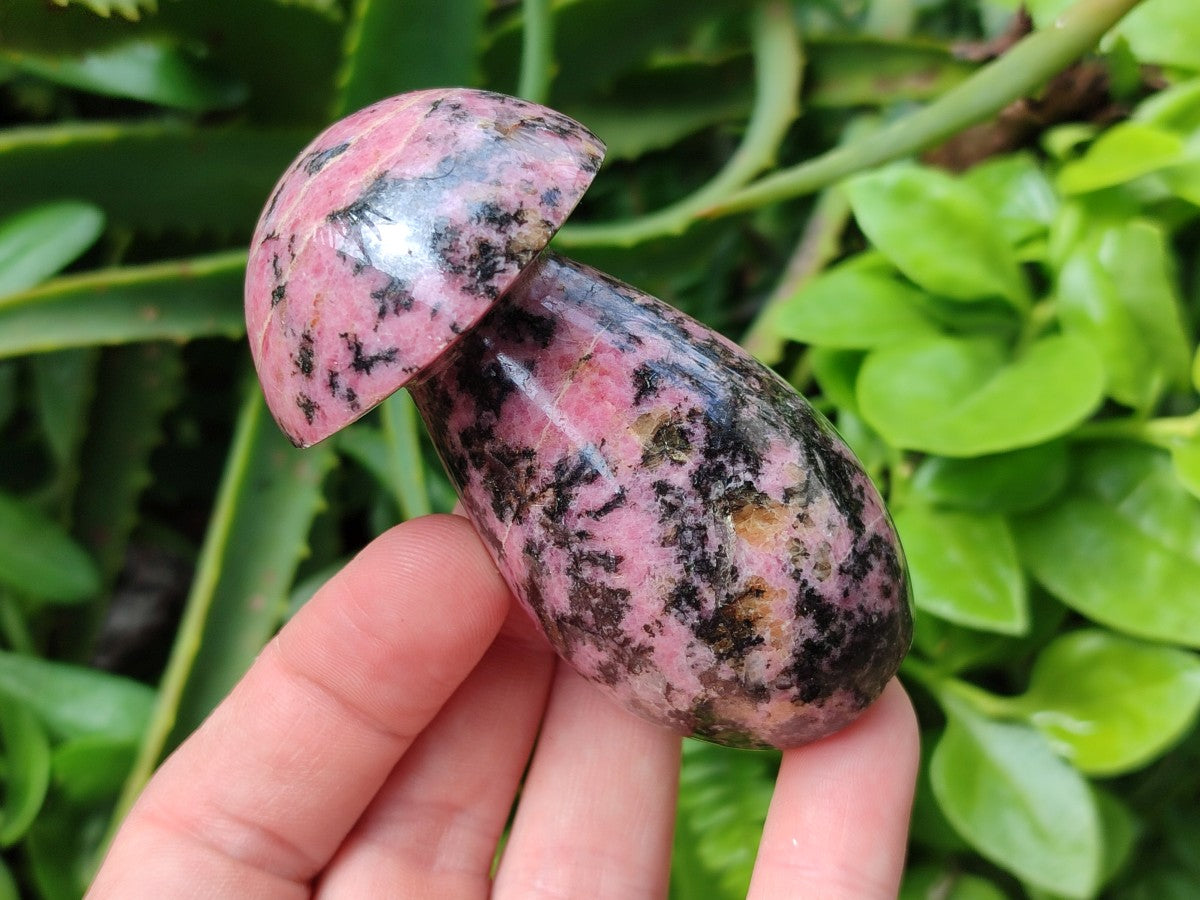 Polished Rhodonite Gemstone Mushrooms x 6 From Ambindavato, Madagascar