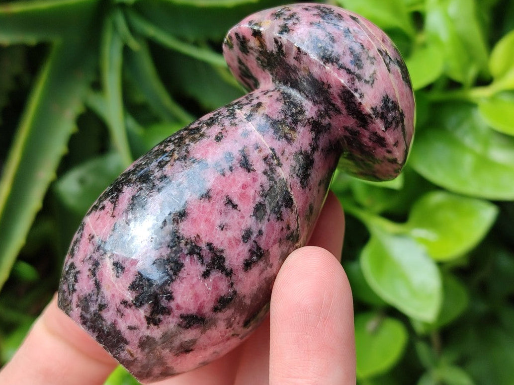 Polished Rhodonite Gemstone Mushrooms x 6 From Ambindavato, Madagascar