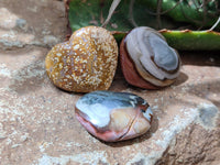 Polished Mixed Ocean Jasper and Polychrome Jasper Mini Hearts x 35 From Madagascar