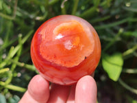 Polished Carnelian Agate Gemstone Spheres x 6 From Madagascar