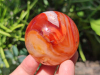 Polished Carnelian Agate Gemstone Spheres x 6 From Madagascar