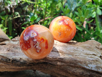 Polished Carnelian Agate Gemstone Spheres x 6 From Madagascar